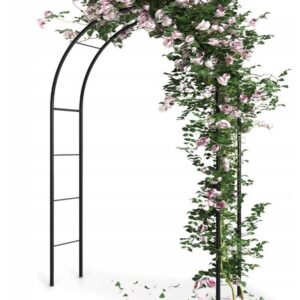 Luk za Ruže Penjačice